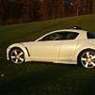 Gecko_Rx8