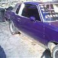 Cutdawg84
