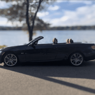 BloodyGuts335i