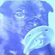 doddydog