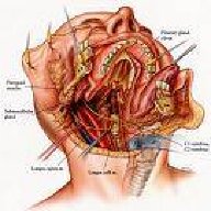 dr_peeb