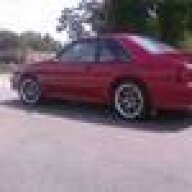 Stangit50