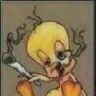 MatorsNutts