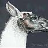 llamabox