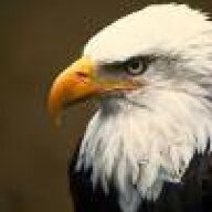 EagleEye