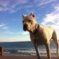 Carbonbeach