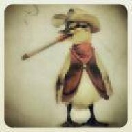 duck13z