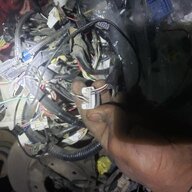 ايمن العريقي
