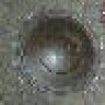 Supatravis