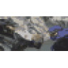 com_antillies