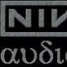 NINaudio