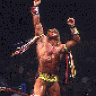 UltimateWarrior