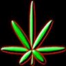 spuninsocal