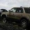 VandalRunner