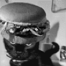 Burger Hat Cat