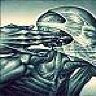 c4nnon_fodder