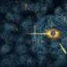 Fission