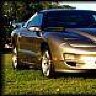 BadGirlRacing