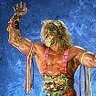THEWARRIOR