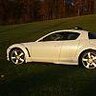 Gecko_Rx8