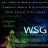 WSG Electronics