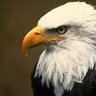 EagleEye