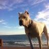 Carbonbeach
