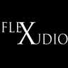Flex Audio