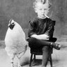 dodo