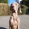 finny430