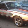 79IndyPaceStang