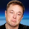 Elon Edgelord