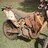 ga525rider