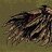 Arkhangel