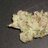 venom13