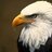 EagleEye