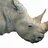 rhinoky