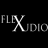Flex Audio