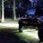 FieldParty187
