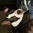 shan_d