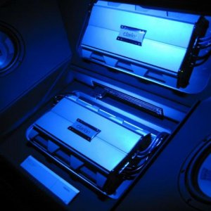 trunk - lit up