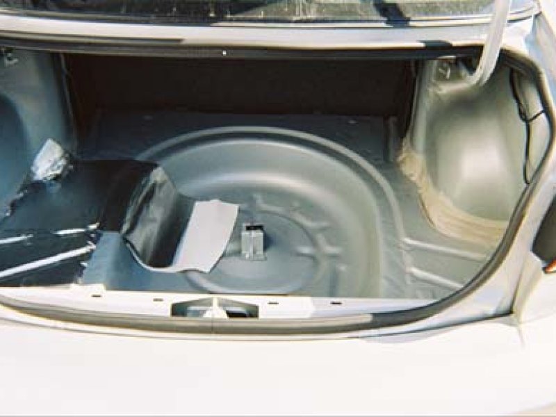 Trunk 1