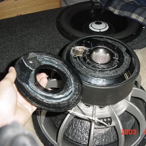 DSC00547