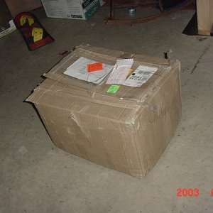 DSC00557