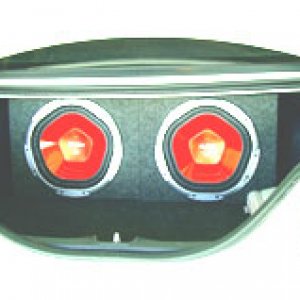 back of the mustang