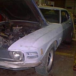 stang2