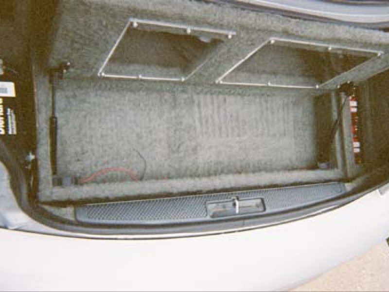 Trunk 10