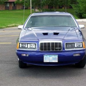 Cougar Front