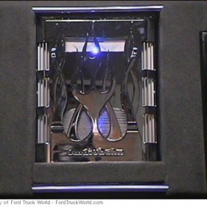 bear box pic 5