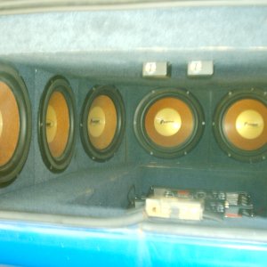 lotsa bass
